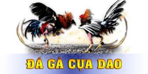 Đá Gà Cựa Dao 13win – Trải Nghiệm So Kê Gay Cấn Bật Nhất