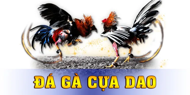 Đá Gà Cựa Dao 13win – Trải Nghiệm So Kê Gay Cấn Bật Nhất