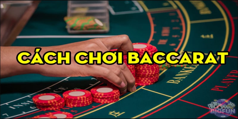 Các quy tắc cho người dùng