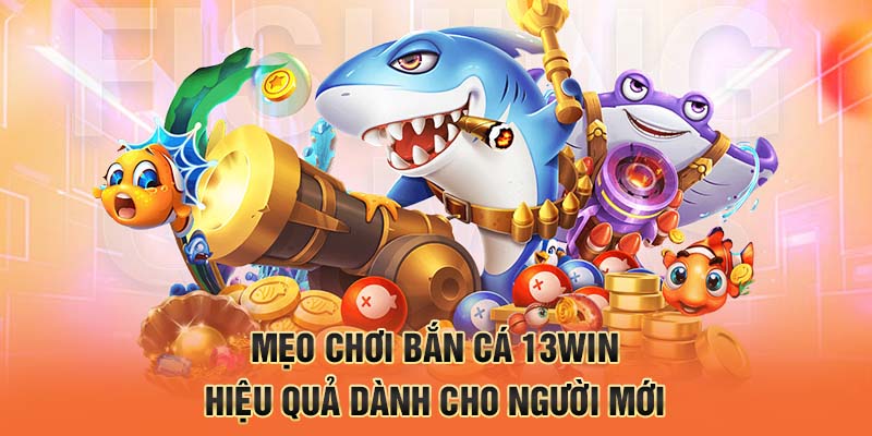 Bộ mẹo bắn cá 13win dành cho người mới